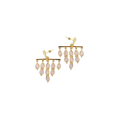 Earring Multi stone ER2452