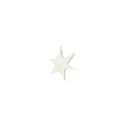 Magnetic star